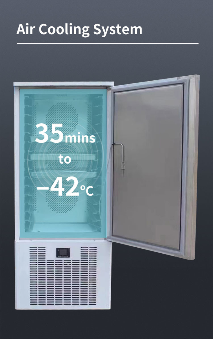 10 Tepsi Şok Dondurucu Chiller Hava Soğutma Makinesi Hızlı Dondurma İçin Küçük Soğutma 5